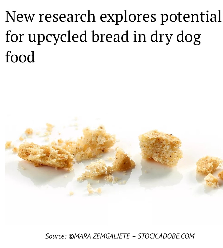 Headline and image from a saved copy of the Pet Food Processing article.
